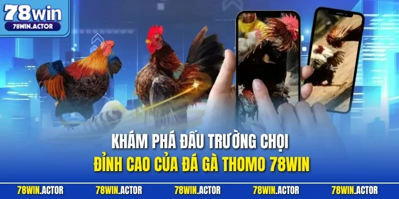 Khám phá đấu trường chọi đỉnh cao của đá gà Thomo 78WIN