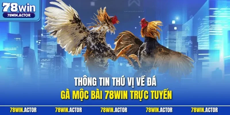 Thông tin thú vị về đá gà Mộc Bài 78WIN trực tuyến